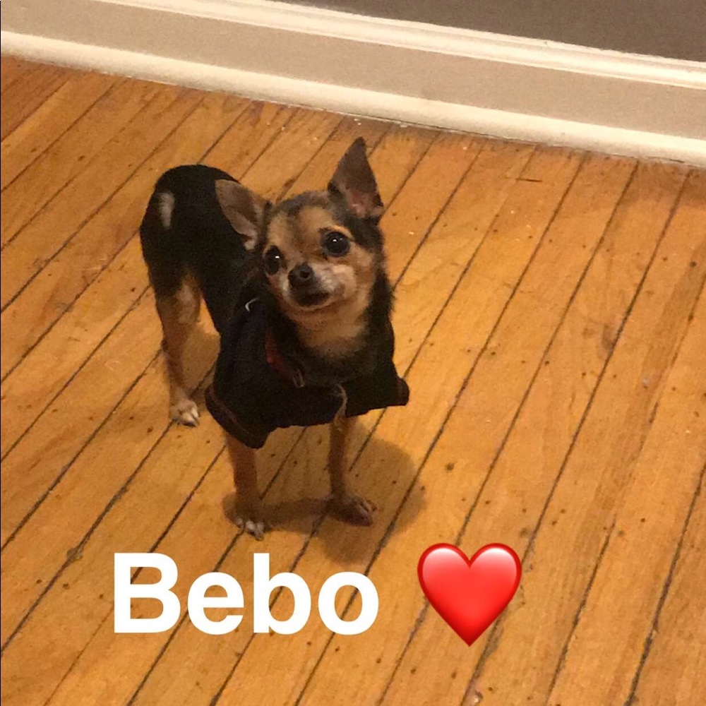 Meet your Posher, Yvonne